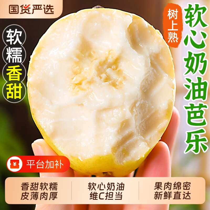 云南芭乐软心牛奶水果软白奶油番石榴当季软糯新鲜巴乐果包邮