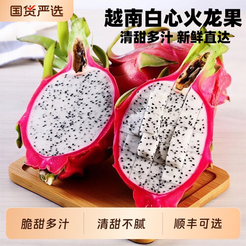 热带新鲜越南白心火龙果一整箱应季水果白肉并非红心包邮顺丰可选
