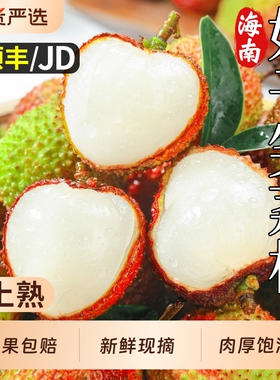顺丰海南妃子笑荔枝新鲜水果特大果当季现摘桂花荔枝香老树包邮甜