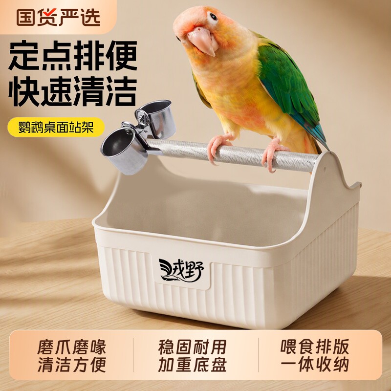 【鹦鹉站杆厕所】定点排便好清理图片