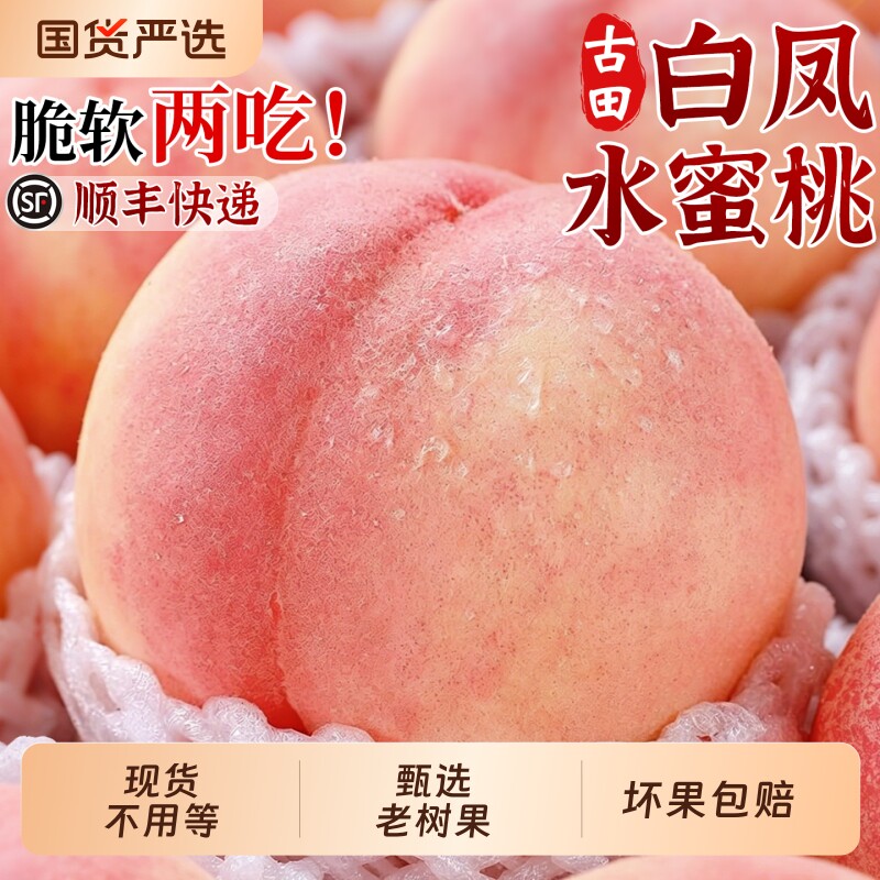 顺丰现货古田白凤水蜜桃桃子脆甜大桃当季孕妇新鲜水果现摘礼盒装
