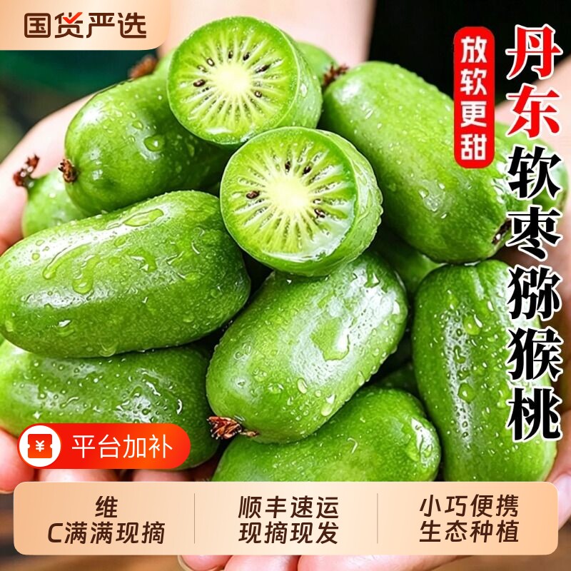 丹东新鲜软枣猕猴桃迷你东北特产圆枣子奇异莓果莓小猕猴桃顺丰