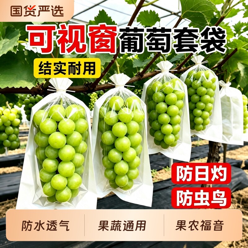 葡萄专用套袋半透明袋子水果防虫网袋防鸟罩露天果树桃子防水纸袋