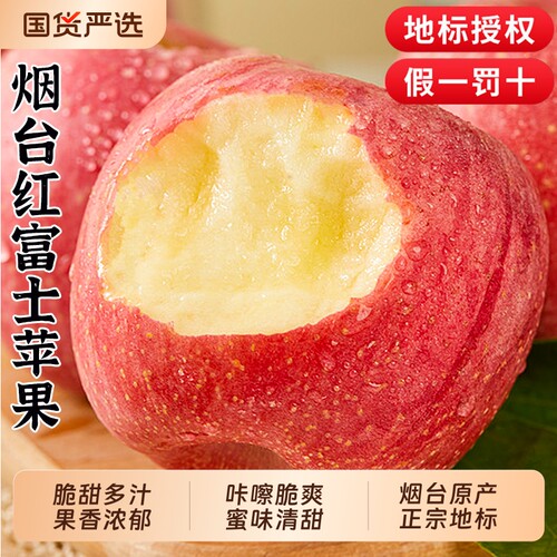 烟台红富士苹果当季斤新鲜水果整箱山东栖霞脆甜冰糖心丑平果包邮