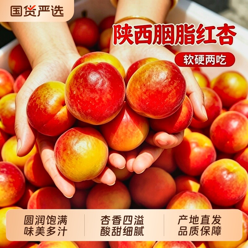 正宗陕西胭脂红杏软硬两吃