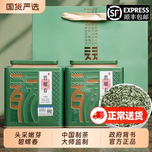 碧螺春特级新茶嫩芽绿茶叶礼盒装高端新年送礼自己喝口粮茶 500g