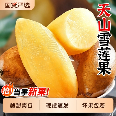 云南天山雪莲果新鲜水果黄心特大果红心一级果现发当季官方旗舰店