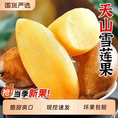 云南天山雪莲果新鲜水果黄心特大果红心一级果现发当季官方旗舰店