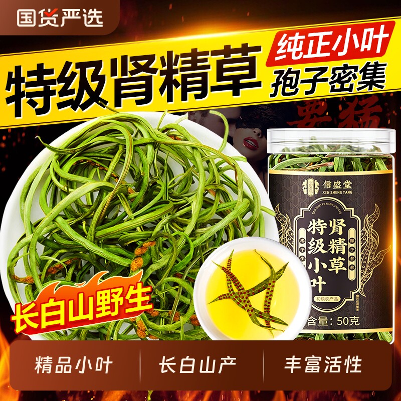 长白山野生肾精草茶小叶黄金草东北化石草肾精茶男士养生泡茶水喝