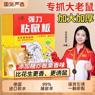 20张老鼠粘强力粘鼠板抓大老鼠贴夹扑捉灭鼠胶沾捕鼠神器正品 家用