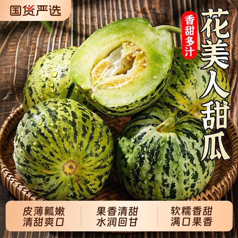 花美人甜瓜八里香花姑娘香瓜新鲜应季时 令水果新鲜现摘脆甜蜜瓜