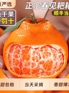 正宗四川春见耙耙柑粑粑柑当季新鲜水果丑八怪桔橘子顺丰整箱包邮