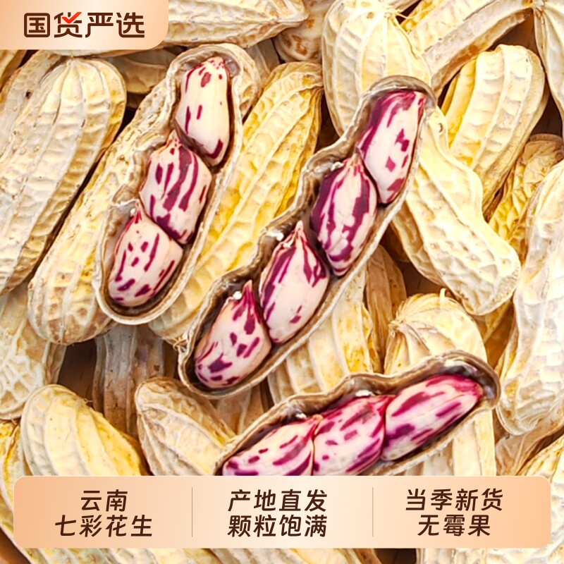 云鲜赞新货五彩花生水煮咸干七彩花生米云南带壳生熟新鲜零食炒货