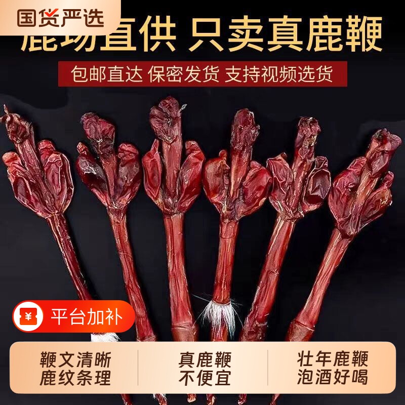 鹿鞭干整根鹿鞭特级现货梅花鹿鹿鞭泡酒煲汤纯天然食材男用礼盒装