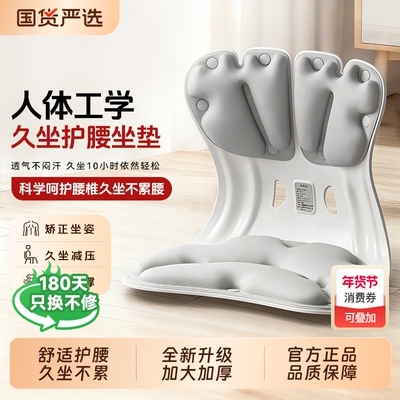 OES人体工学坐姿椅座椅护腰坐垫