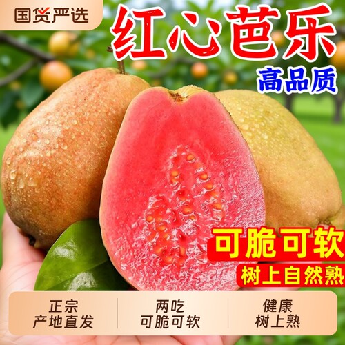 福建红心芭乐新鲜水果包邮大果脆甜胭脂红巴乐番石榴软心软糯自提