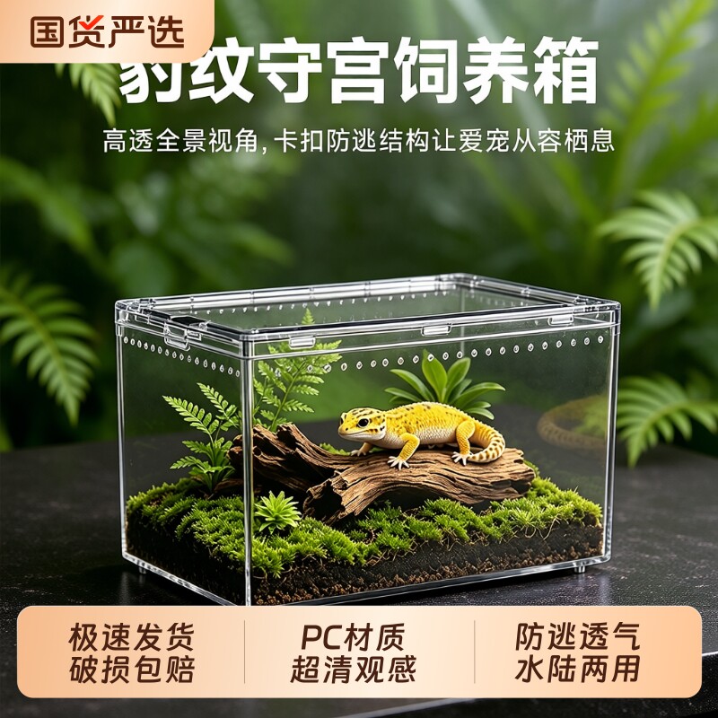 爬宠饲养盒昆虫造景缸爬虫蜗牛蜥蜴生态缸宠物蛇角蛙蜘蛛守宫缸