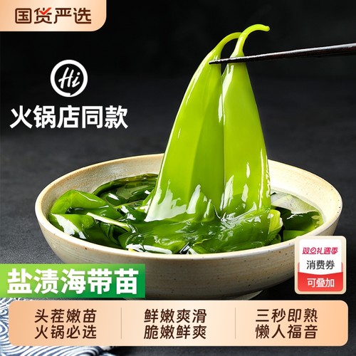海带苗嫩特产级新鲜火锅专用海带苗霞浦海带苗旗舰店海带根芽嫩苗