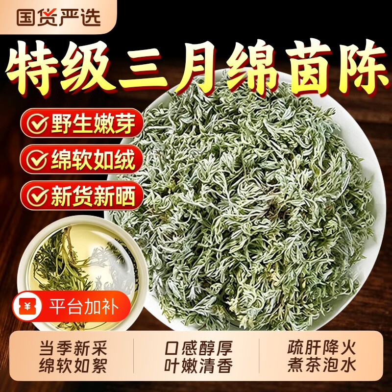 特级棉茵陈中药材正品官方旗舰店野生正宗白蒿五味子养生茶泡水喝