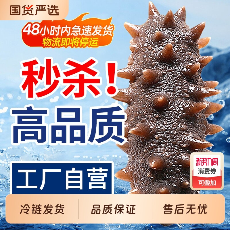 优质即食海参辽刺参即食500g鲜活辽参海生刺参单个真空独立包装