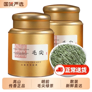 毛尖茶叶2025新茶明前特级嫩芽高山绿茶浓香型毛尖茶礼盒散装手工