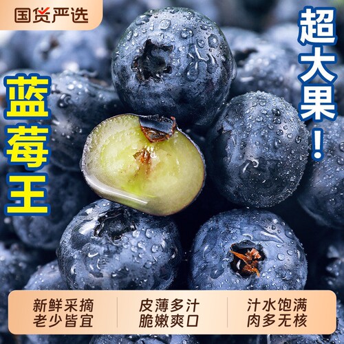 云南蓝莓老树果【热卖TOP商家】