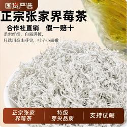 张家界特级野生芽尖永顺莓茶官方旗舰店湘西美丽土家特产藤茶茶叶