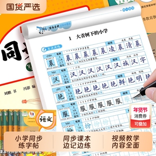 2025小学语文同步练字帖二年级上下册三年级四年级五六年级上下册人教版小学生专用拼音笔画笔顺钢笔练字硬笔描红临摹字帖每日一练