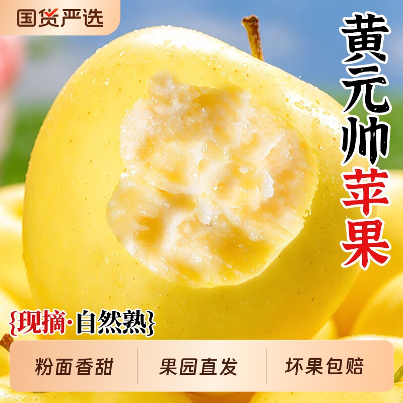 正宗黄元帅维纳斯苹果新鲜水果奶油富士当季头茬黄金奶油脆粉整箱