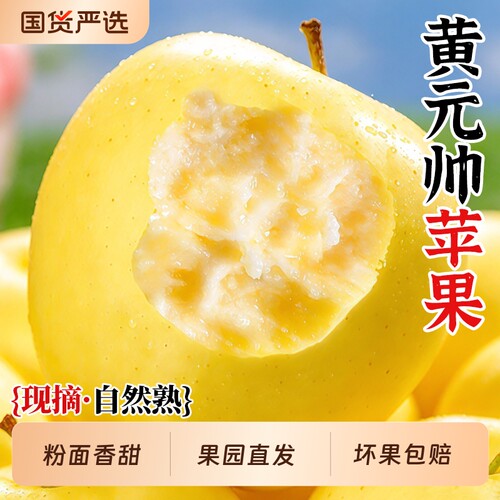 正宗黄元帅维纳斯苹果新鲜水果奶油富士当季头茬黄金奶油脆粉整箱
