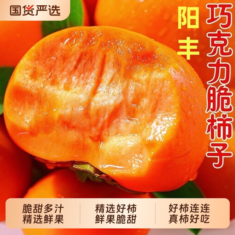 2026阳丰巧克力脆柿子5斤新鲜水果甜柿子脆柿冰糖心无核硬脆甜