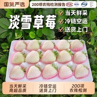 淡雪白草莓白雪公主礼盒装空运直达新鲜生日高端水果送女友高级感