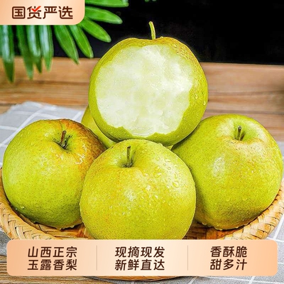 山西正宗玉露香梨新鲜水果梨子脆甜皮薄香甜香脆原产地现摘直发5