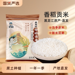 东北香稻贡米当季新米圆粒米黑龙江大米农家自种珍珠大米主食粥饭