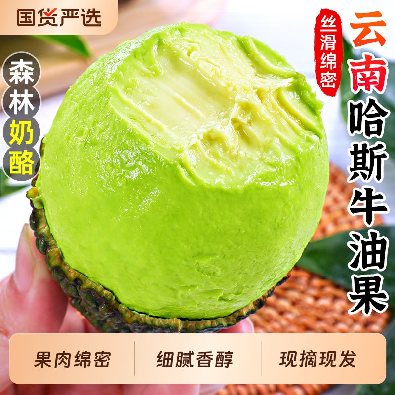 喜仕鲜云南牛油果特大果香醇
