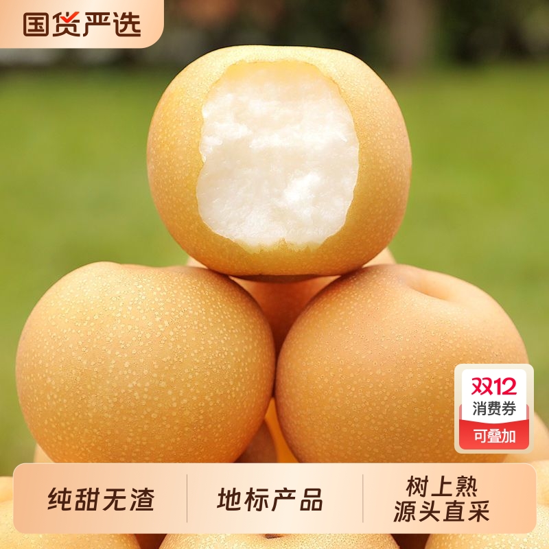 正宗圆黄梨非秋月梨丰水梨纯甜当季新鲜冰糖梨子整箱包邮鲜果国货