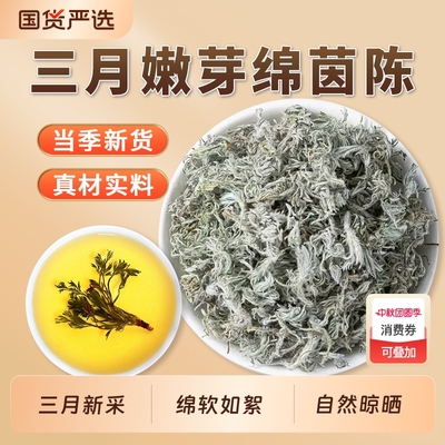 三月茵陈中药材官方旗舰店白蒿棉茵陈蒿绵茵陈因陈泡茶水新鲜散装