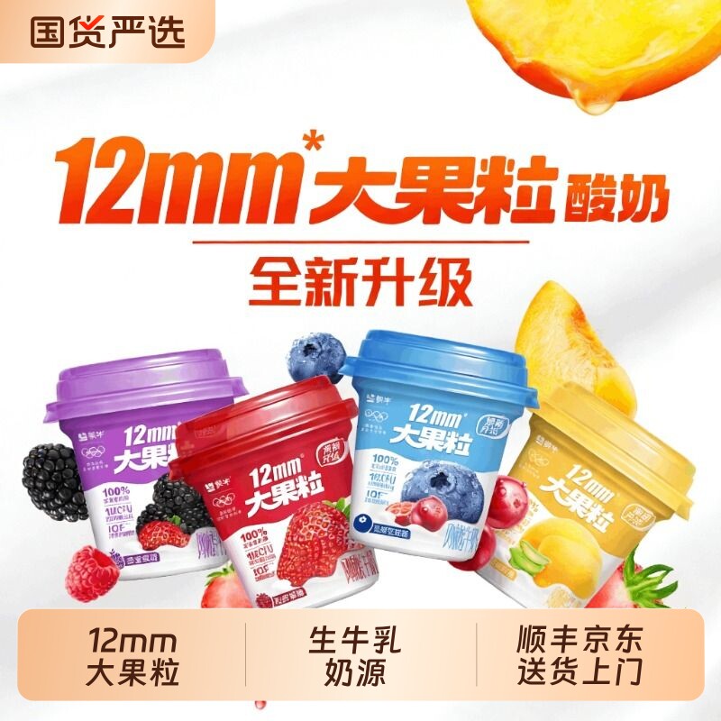 蒙牛大果粒酸奶生牛乳风味发酵乳草莓蓝莓黄桃桑葚多种水果口味