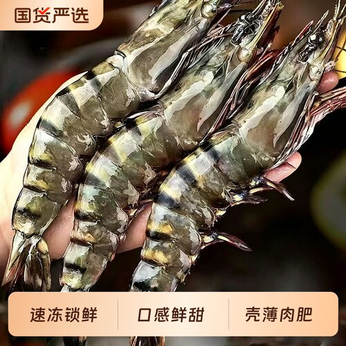 【预售】黑虎虾鲜活速冻大虾2030规格肉质鲜甜大虎虾海鲜1500g/盒
