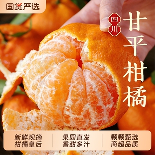 新鲜甘平柑橘当季水果现摘砂糖柑橘时令冰糖蜜橘甜桔大果整箱包邮