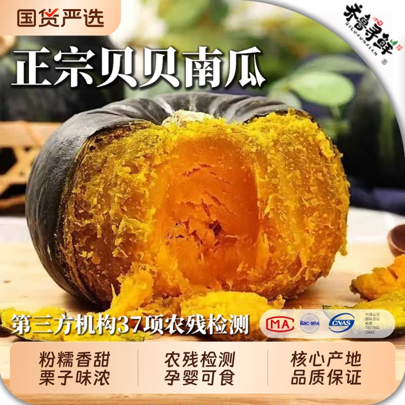 正宗贝贝南瓜黄金籽板栗味小南瓜新鲜宝宝辅食粉糯非惠和包邮产地