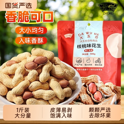 浙梅核桃味小花生500g带壳花生小零食休闲食品坚果炒货下酒菜小吃