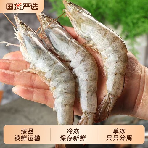 【顺丰上门】锁鲜运输盐冻保鲜