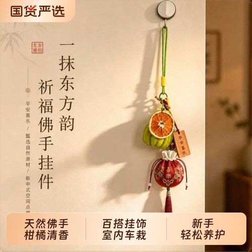 烈儿宝贝直播间天然佛手柑挂件柑橘室内车载办公室桌面绿植好物