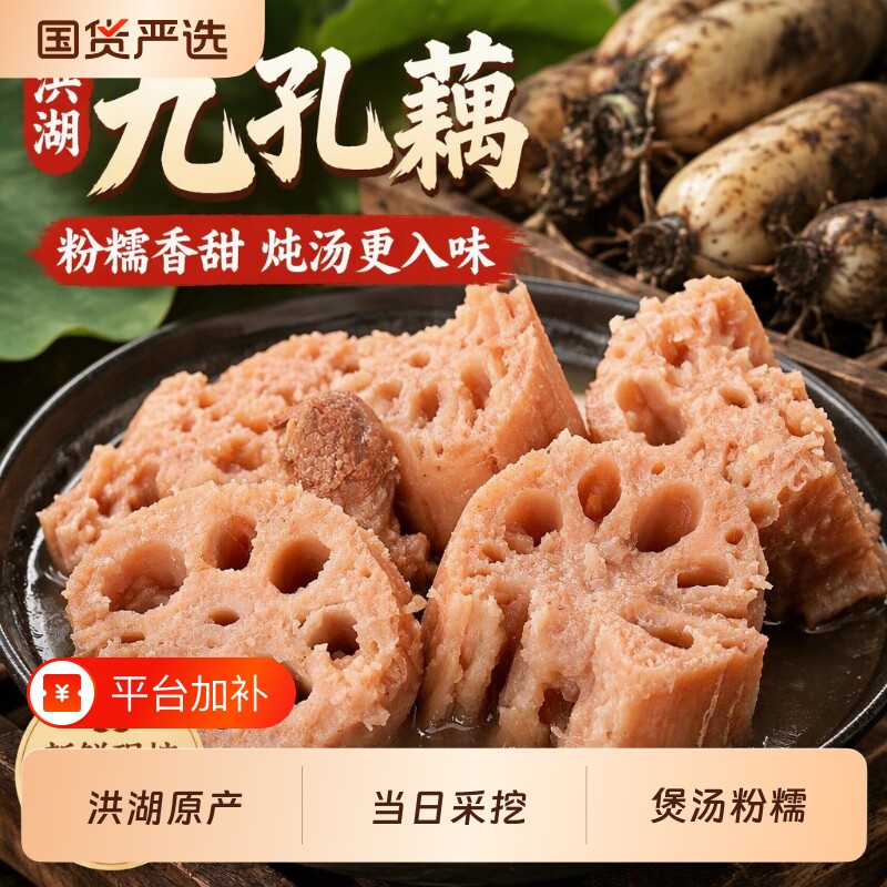 正宗湖北洪湖莲藕新鲜现挖九孔藕粉藕煲藕汤粉糯米藕2-5斤装美食