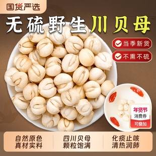 野生川贝母中药材正品无硫四川贝母干贝母粒搭雪梨片止咳泡水煲汤