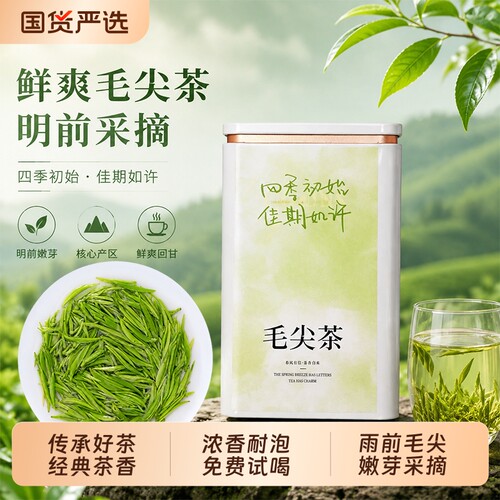 毛尖茶叶2026新茶春茶雨前特一级嫩芽浓香型绿茶散装礼盒送礼500g