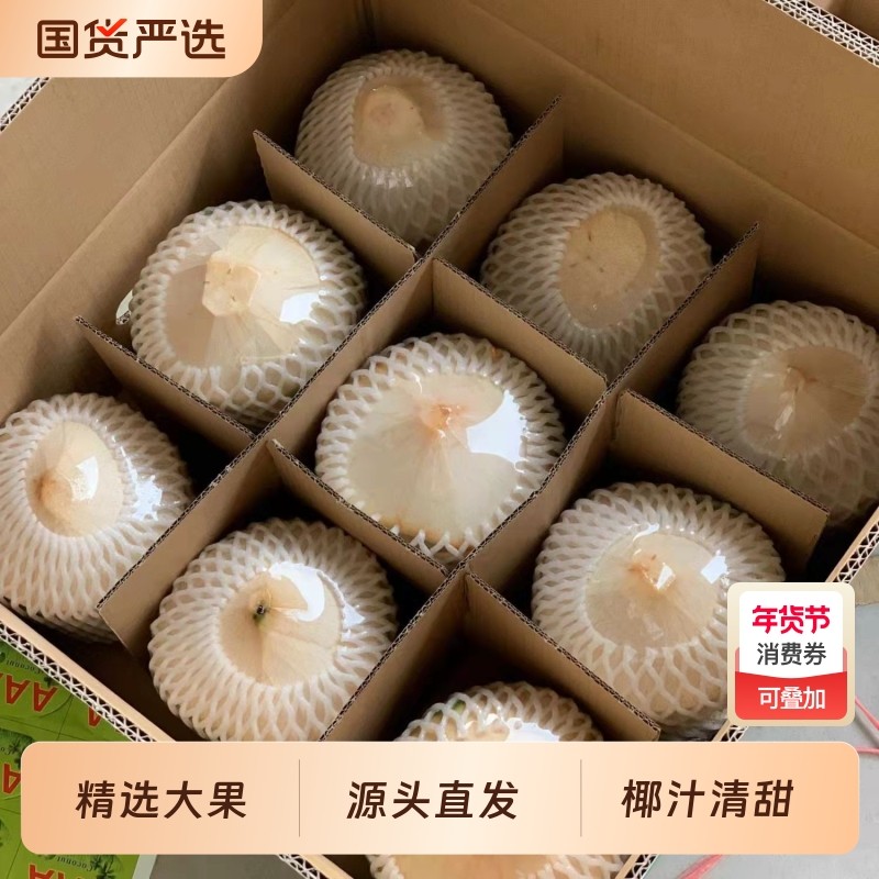 海南椰青新鲜椰子2/4/6/9个装当季现摘水果去皮一整箱特产包邮