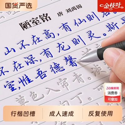 【15天练好字】行楷字帖成人练字专用凹槽练字帖行书字帖反复使用练习成年速成男女生大人静心硬笔书法练字本