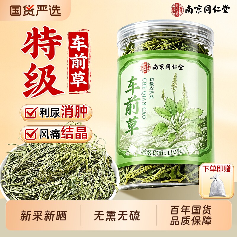 南京同仁堂车前草野生中药材泡水喝的功效作用干货官方旗舰店正品